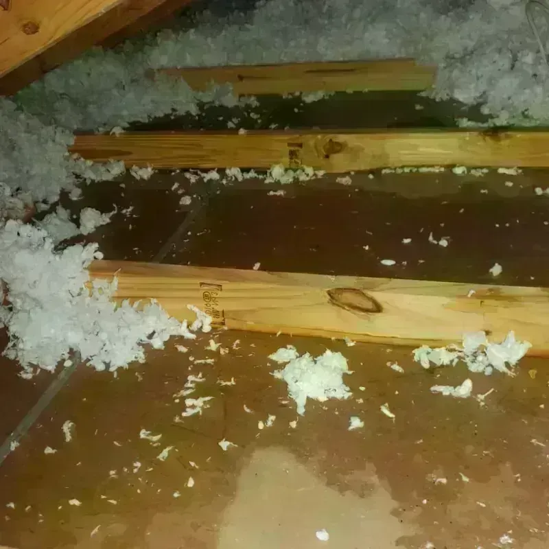 Attic Water Damage in Belpre, OH